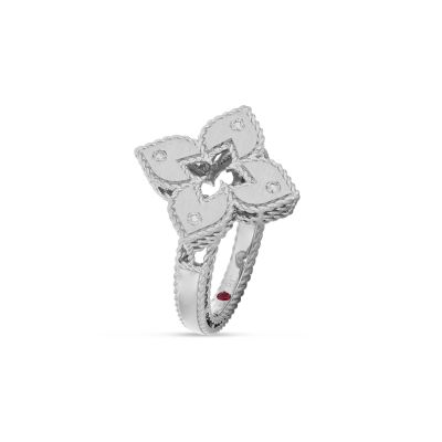 Ring mit Diamanten und Rubin